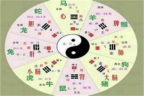 升字五行|[汉字升的五行属性是什么